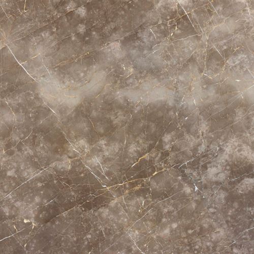 Grey-Colamandina