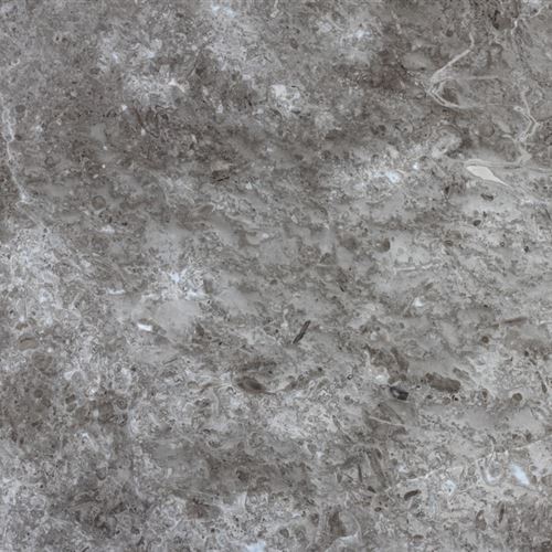 Grey-William